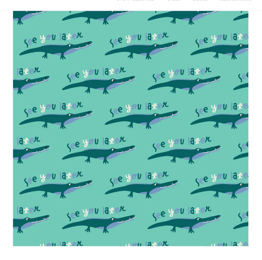Kickee Pants: Swaddle Blankets